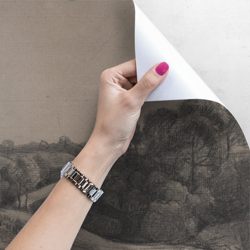 Cabersham Matte Mural, 250 x 104cm