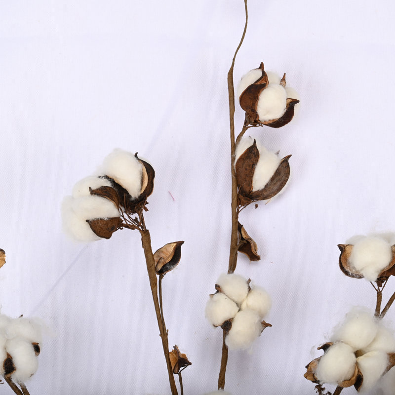 Farmhouse Cotton Arrangement Rustic Long Stems