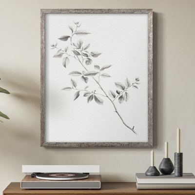 Vintage Floral Print VI Framed Print - Solid Wood