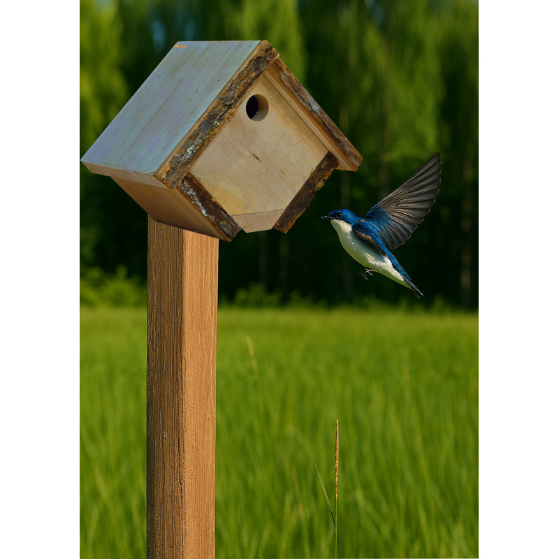 Maison d'oiseaux rustique de style rustique
