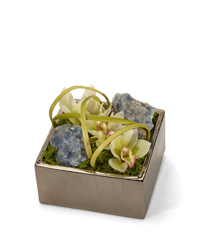 Orchid Arrangement in Planter T&C Floral Company