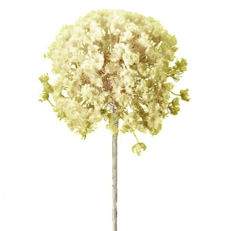 Fleur artificielle blanche à tige en allium