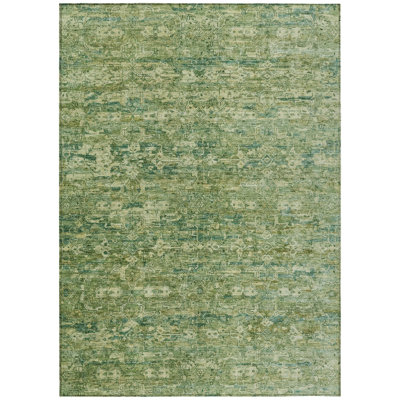 Machine Washable Indoor/Outdoor Hashlamoun ACN2324 Ikat Rug