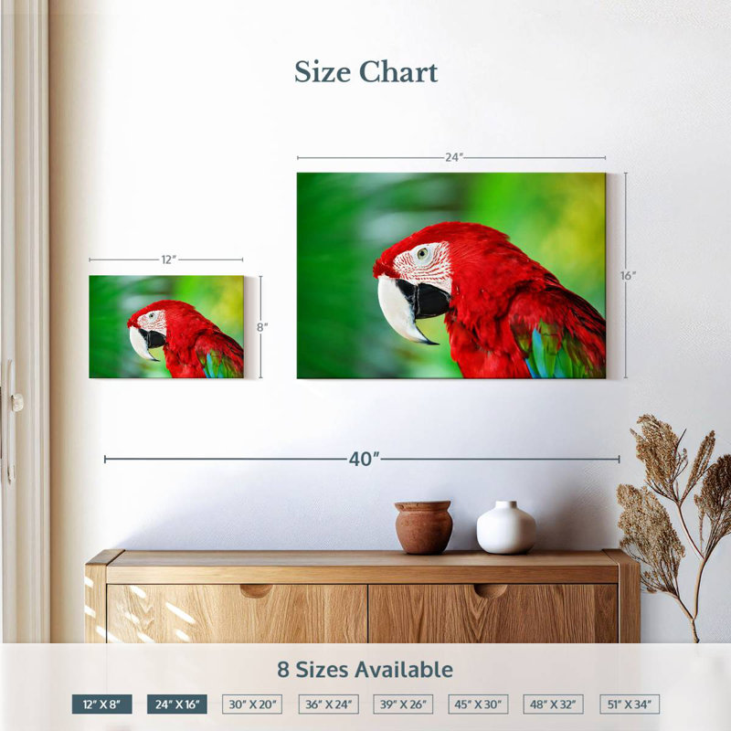 Brampt Jungle Scarlet Macaw, 16" H x 24" W