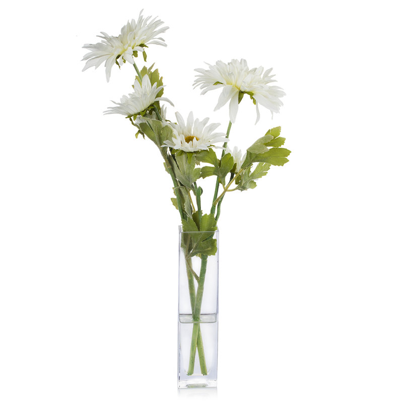 Bouquet de marguerites dans un vase, Blanc