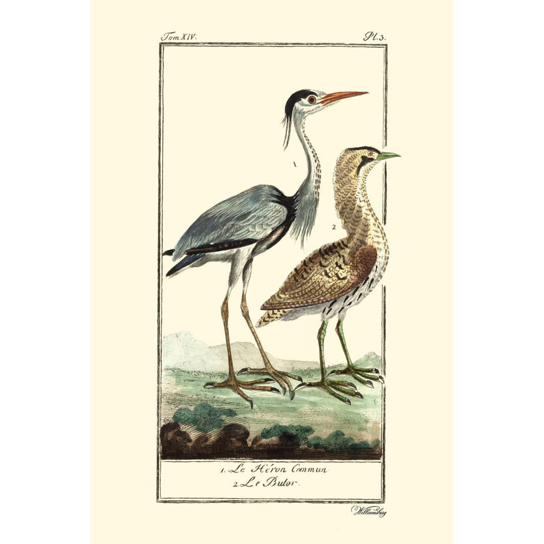 Wandbild Buffon Cranes & Herons III