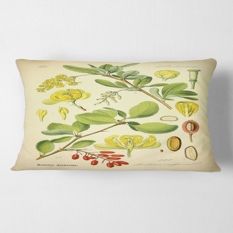 Vintage Plant Life II - coussin traditionnel imprimé