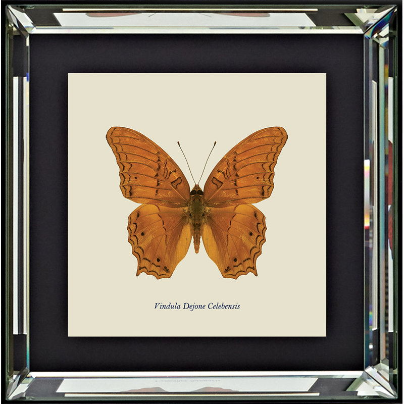 Single Picture Frame Print on Wood