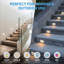 Éclairage de marches à DEL ajustable 24PK 5CCT | Éclairage intérieur / extérieur à DEL imperméable pour marches, greniers, sous-sols, terrasses et parcs | Écoénergétique, installation facile