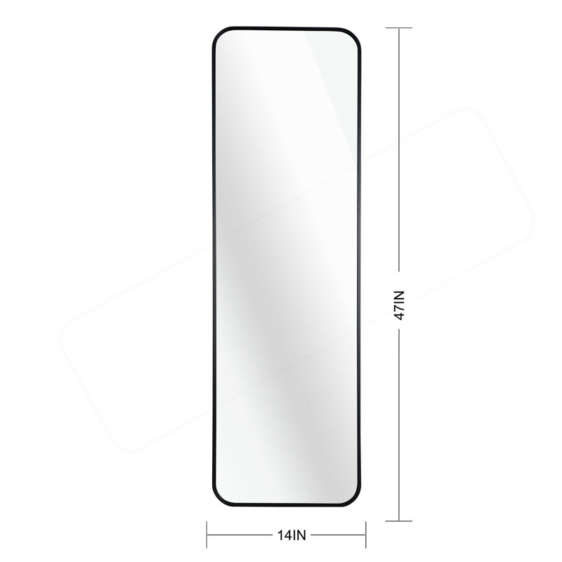 47 X 14IN Door Mirror.