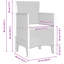 Outdoor Lounge Chair