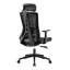 Ashton Plus Office Chair-1472640126