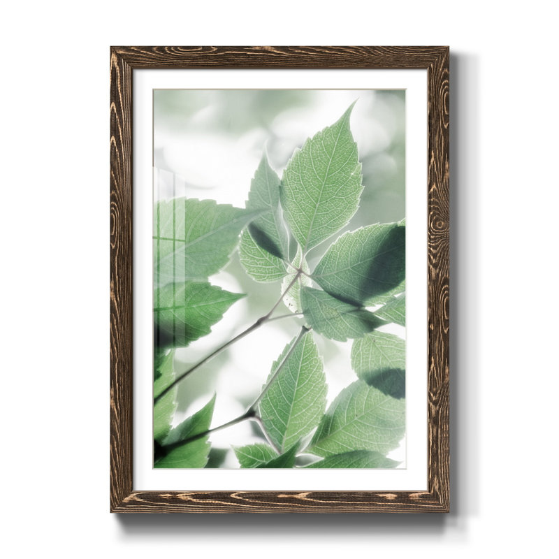 Fields of Green I - Cadre photo, reproduction d'art sur papier, H 31,5 po x l 23,5 po x P 1,5 po, Noyer