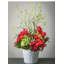 Plante de feuillage Leatham Douglas