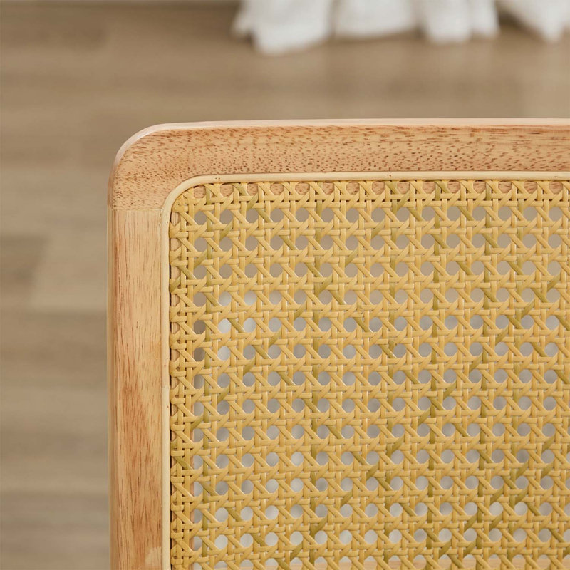 Ensemble de 2 chaises de salle à manger de style Mid-Century moderne en velours avec dossier en canne naturelle et base chromée, confortable et élégant