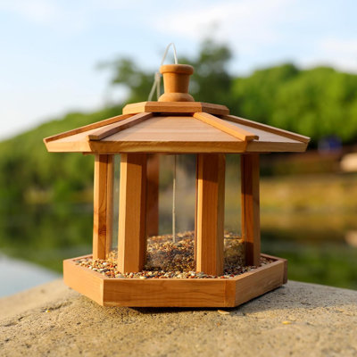 Bird Feeders for Outdoors Hanging