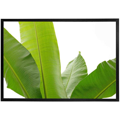 Tuohy Green Leaves On White - Single Picture Frame Print