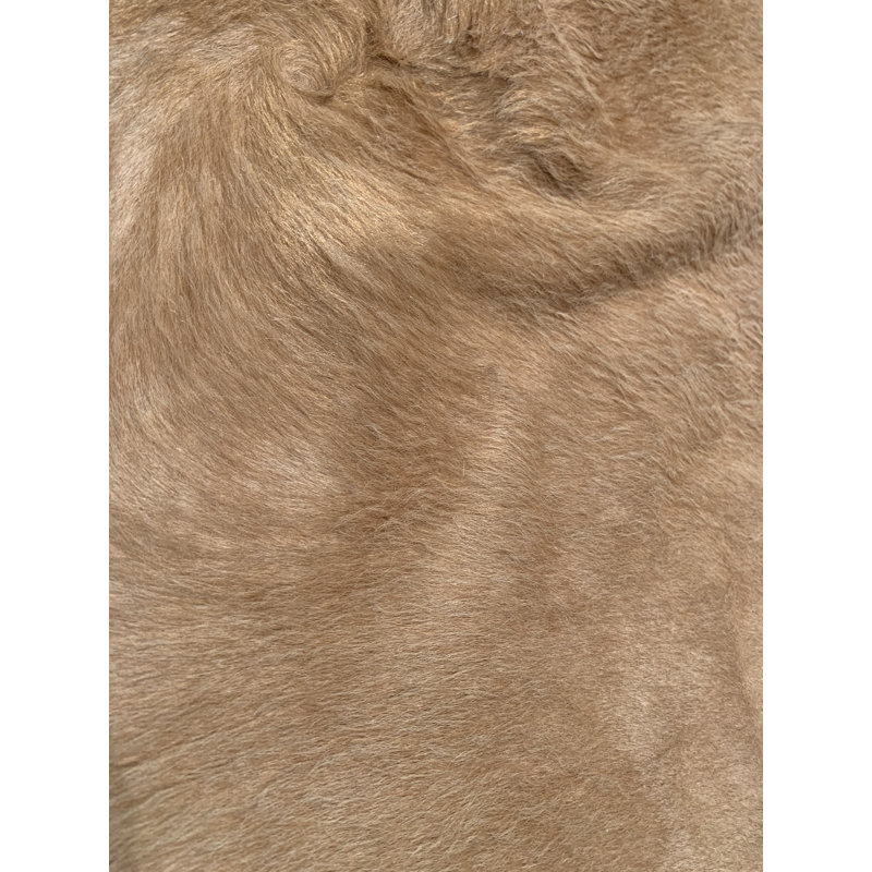 Arabel Cowhide Area Rug in Tan