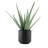 13" Artificial Aloe Plants