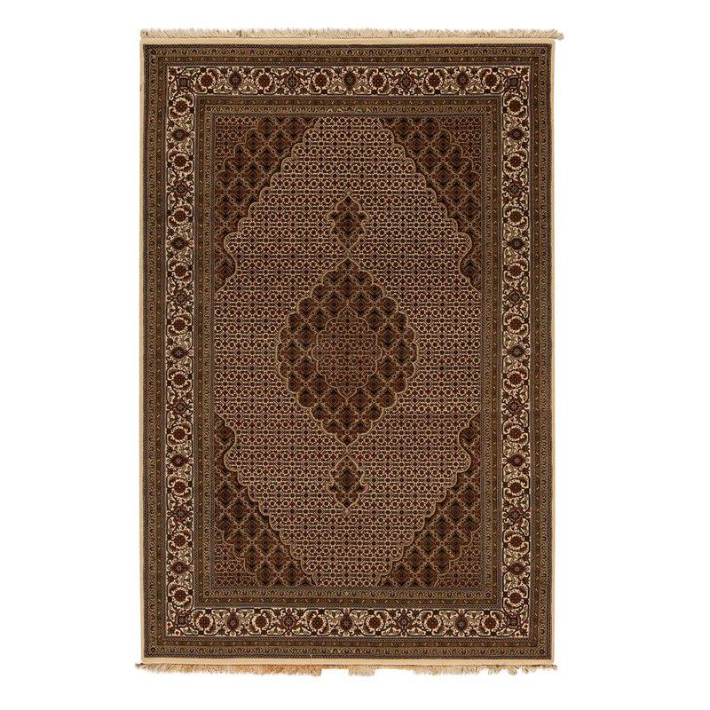 Tapis brun / beige noué à la main de conception unique 6 pi x 9 pi