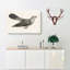 Common Cuckoo by Von Wright - Wrapped Canvas-55372040