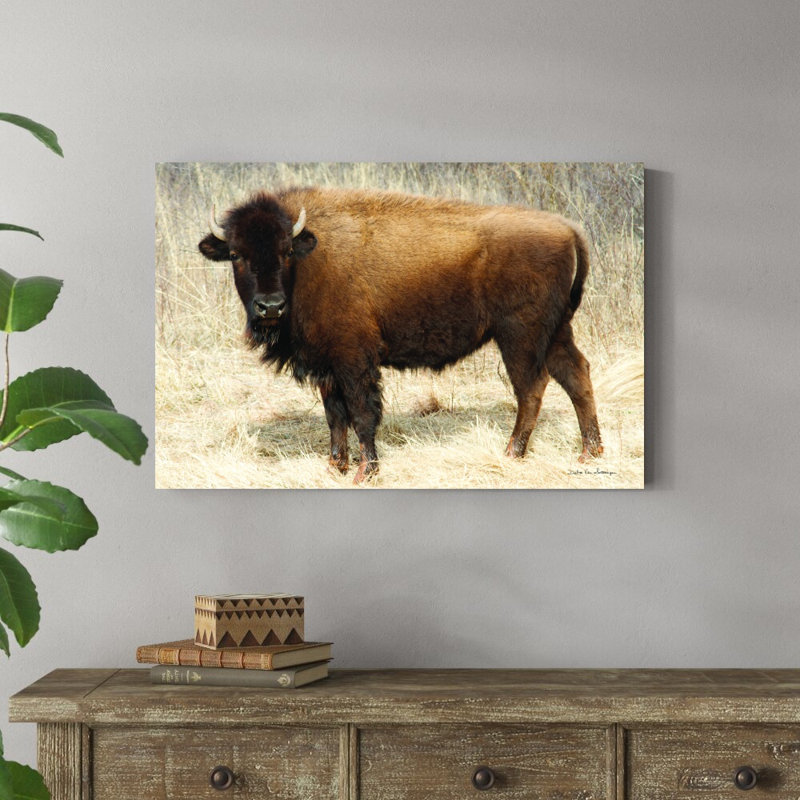 «American Bison I» par Debra Van Swearingen - photographie sur toile tendue, H 24 po x l 36 po x P 1,25 po