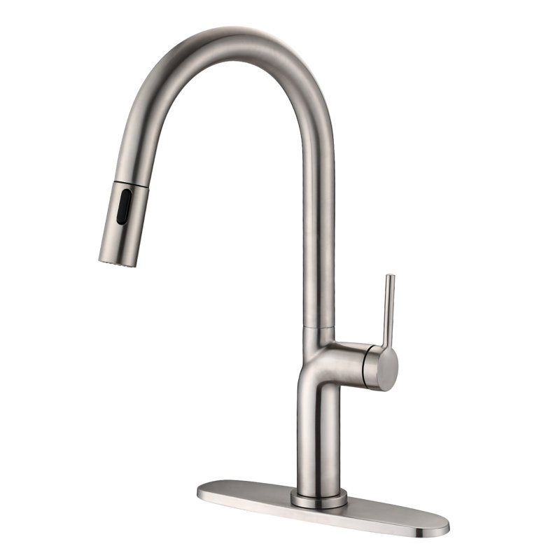 Robinet de cuisine rétractable à poignée simple avec accessoires