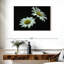 Grande marguerite Harnek Leucanthemum Vulgare-107842210