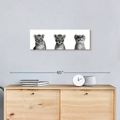 Lion Cub Trio - reproduction sur toile tendue