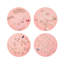 Chinoiserie Coaster-534315736