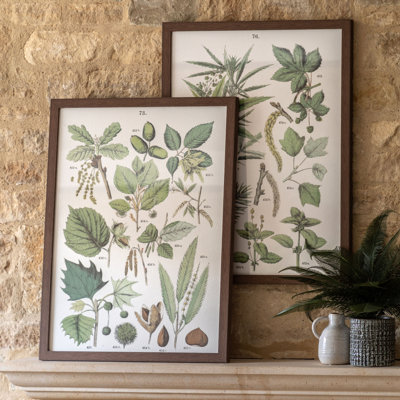 Foliage Study Framed Art