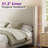 Belo Upholstered Platform Bed-426566455-435998058