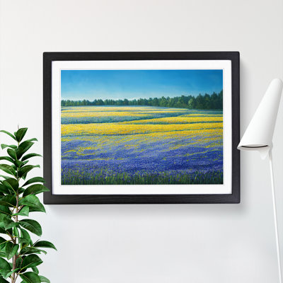 Timeless Bluebell Field - Single Picture Frame Print