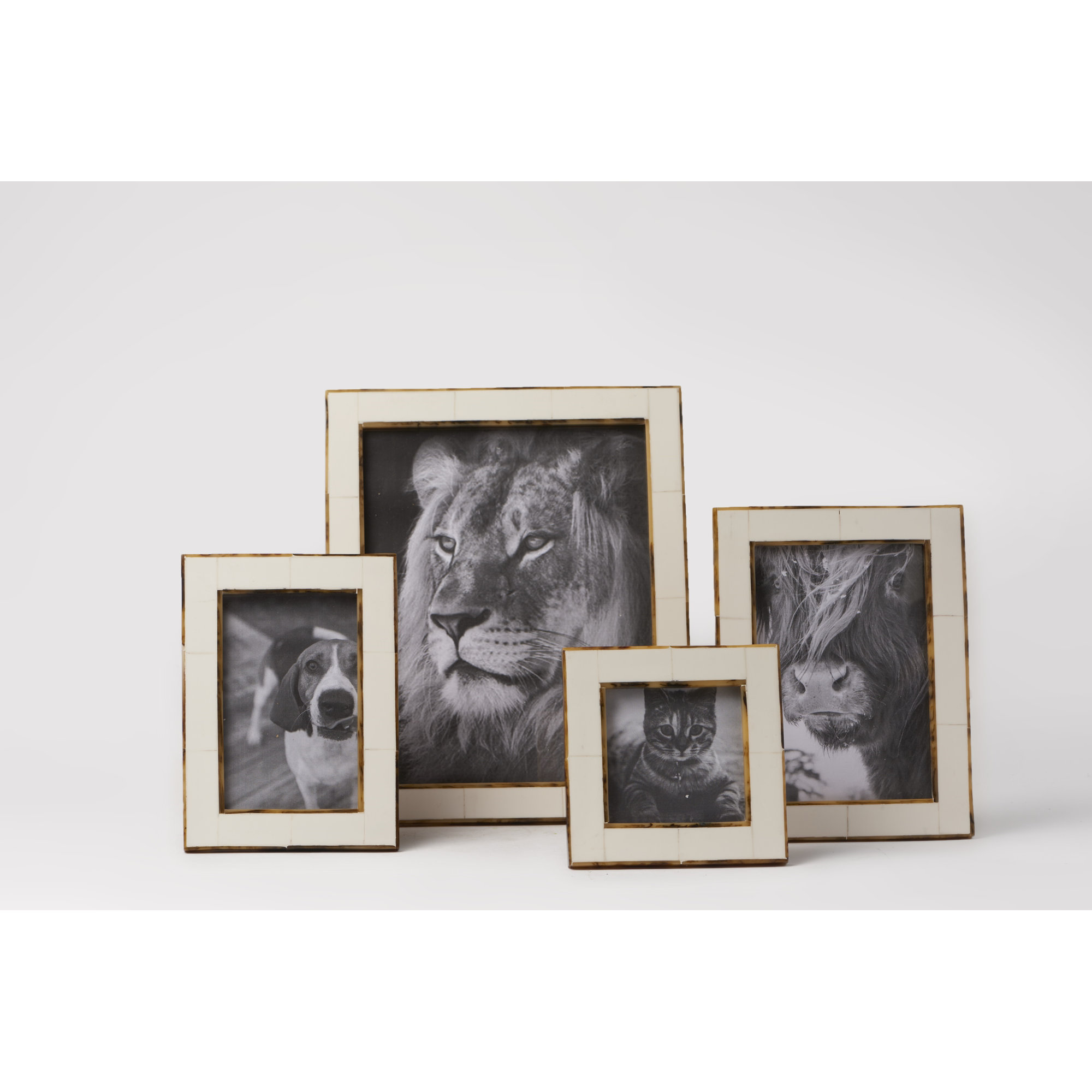 Dacey Matte Picture Frame, 4" x 4"