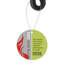 BBQ Grilling Brush
