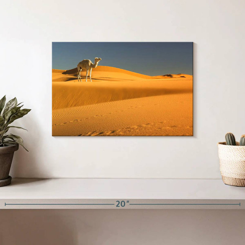 Chameau du désert d'Alvord Sahara, H 8 po x l 12 po