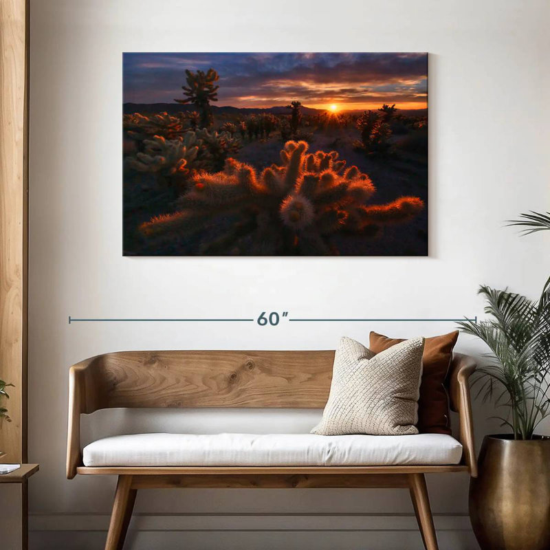 Alvord Mojave Desert Sunrise, H 30 po x l 45 po
