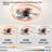Ceiling Fans With Lights Dimmable LED Embedded Installation Of Thin Modern Ceiling Fans