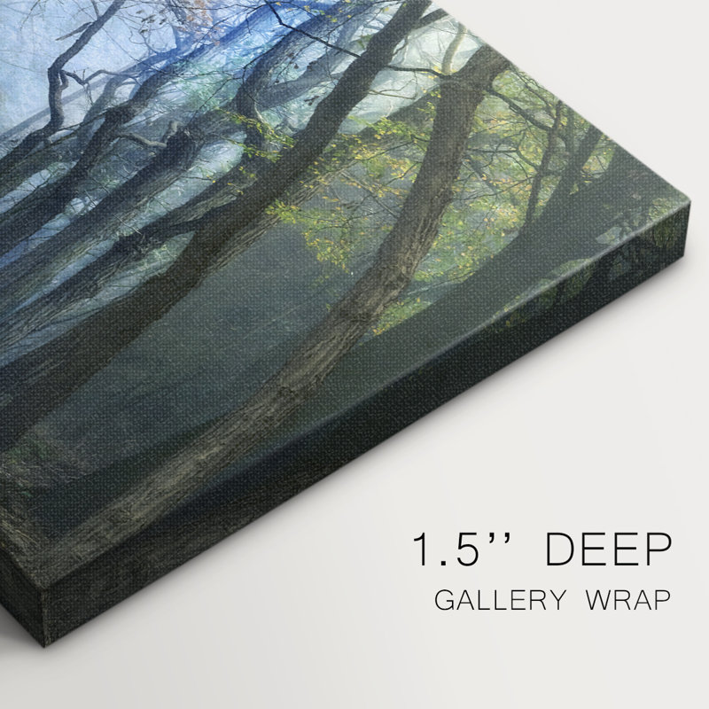 Forêt d'acacia - Cavas enveloppés de galerie, 24 x 36