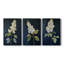 Floral Study Series LV - Ensemble de 3 toiles tendues avec châssis - Prêt à être accroché