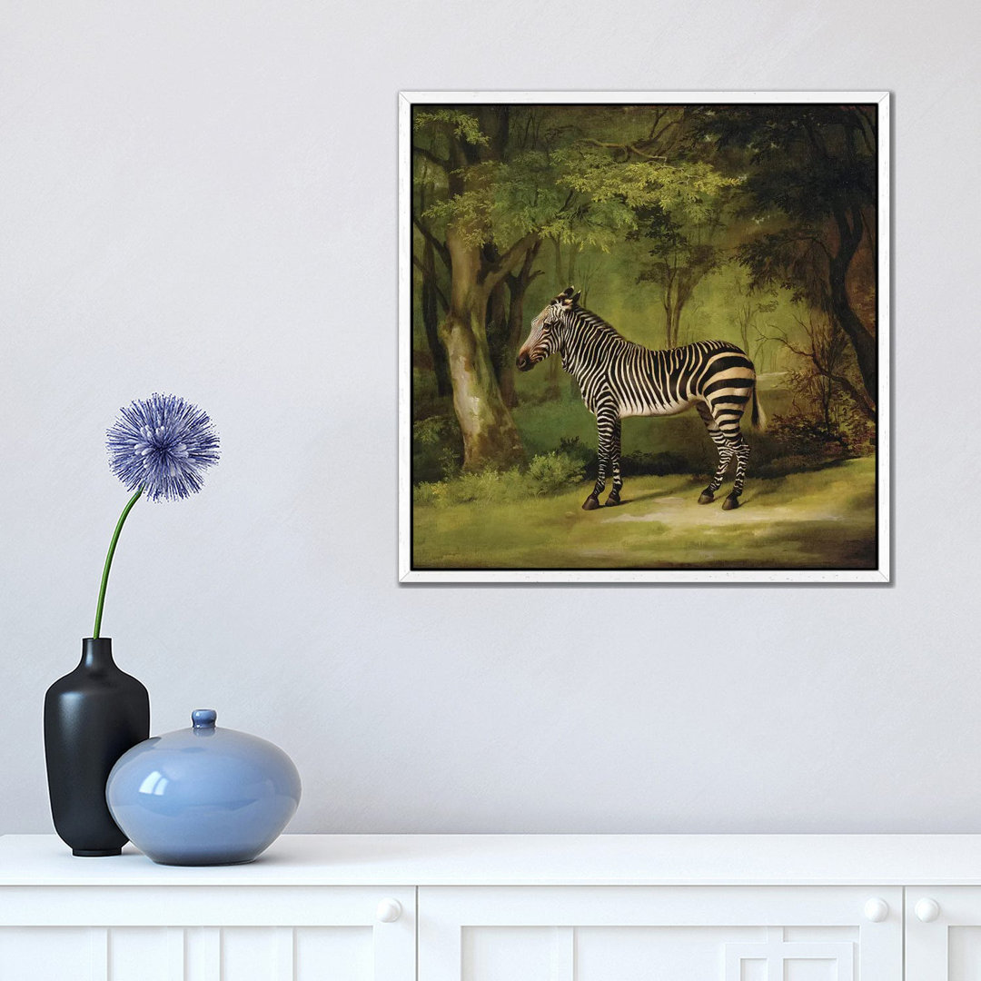 A Zebra, 1763 by George Stubbs - Painting on Canvas