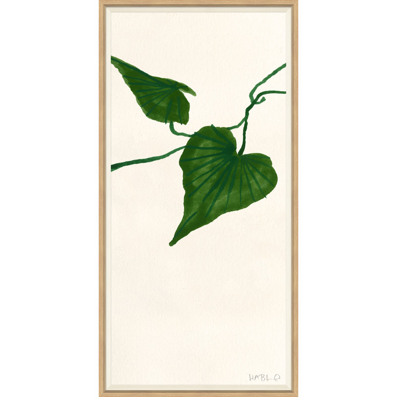 Ivy III Giclee Print by Susan Hable