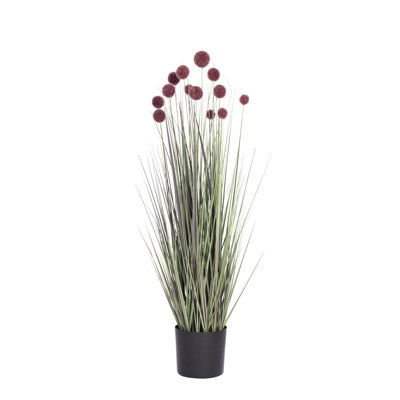 Fausse herbe de pampas 48 po