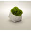 Faux Succulent Grass in Stone Pot