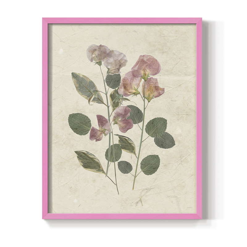 Pressed Arrangement II, reproduction encadrée - bois massif, H 15 po x l 12 po, Rose