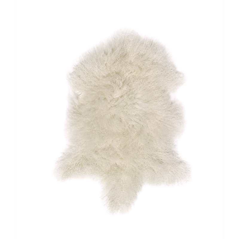 Ascencio Novelty 55 cm x 90 cm Area Rug