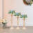 Backdrops & Signs