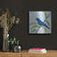Art mural luxueux «Indigo Bunting» par Jeanette Vertentes, 36 po x 36 po-1773265757