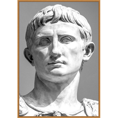 Caesar' Framed Graphic Art Print on Canvas