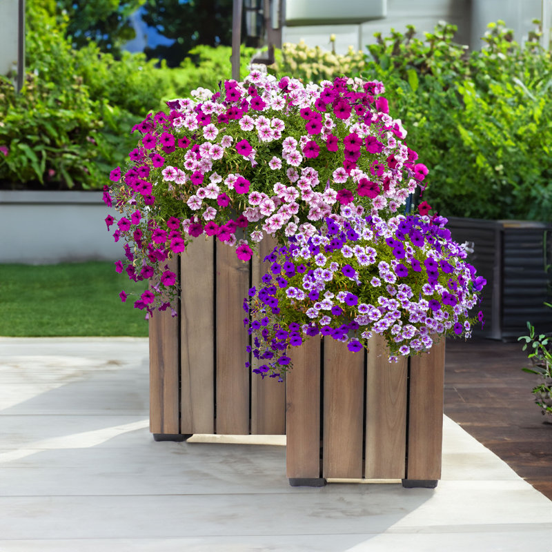Boîte à fleurs carrée en bois d'acacia anthracite avec doublure Harmann - brun, Brun